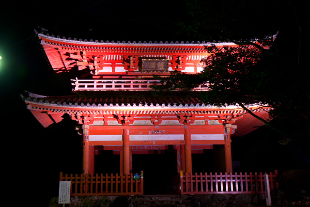 奥山半僧坊方広寺のライトアップ紅葉