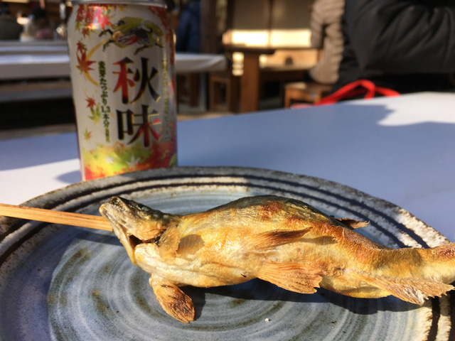 香嵐渓で鮎の塩焼きを食べる