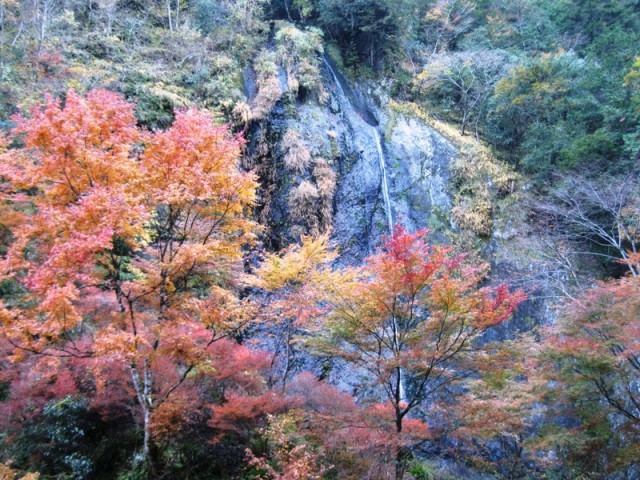 布滝の紅葉