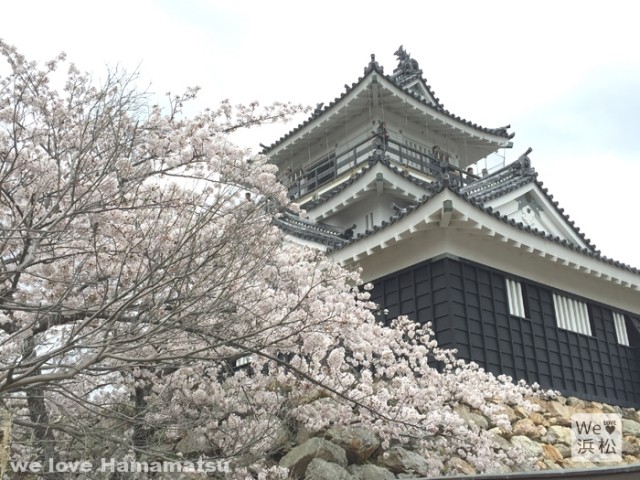 浜松城と桜2016