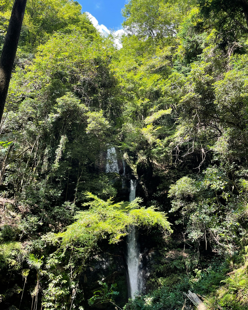 浜松秘境滝：機織淵の滝（佐久間町）