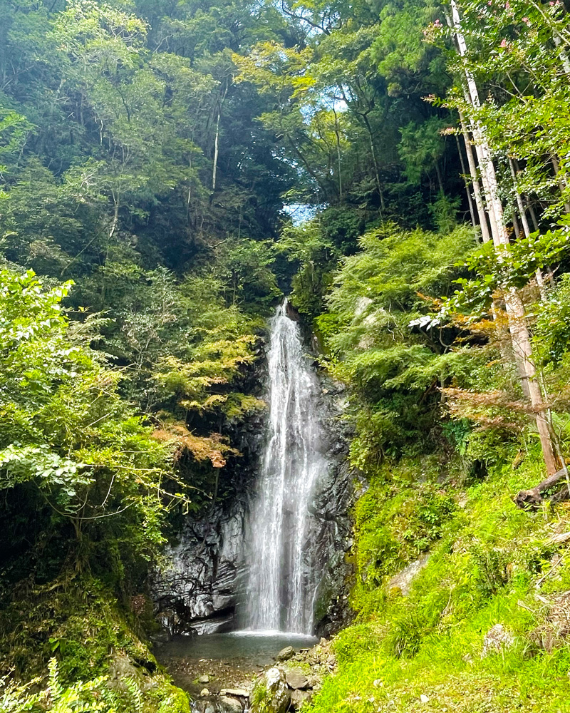 浜松秘境滝：一心滝（佐久間町）