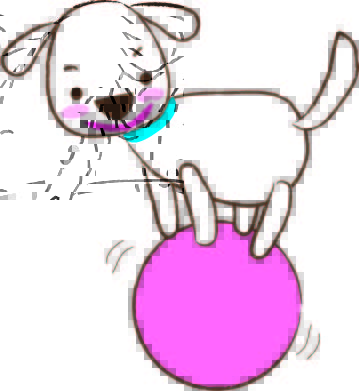 サーカス　犬