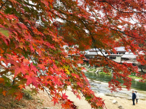 香嵐渓の紅葉の様子
