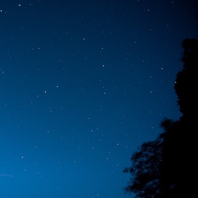 くんまホタルの里は まわりにほとんど 灯がありません なので 空を見上げると 星空がとってもキレイ ホタルもとっても幻想的だけど 素敵な夜空も 見上げてみてねーーっ くんまホタルの里 ほたるの里 ホタルの里 夜空 熊 景色綺麗 星空 Welove浜松