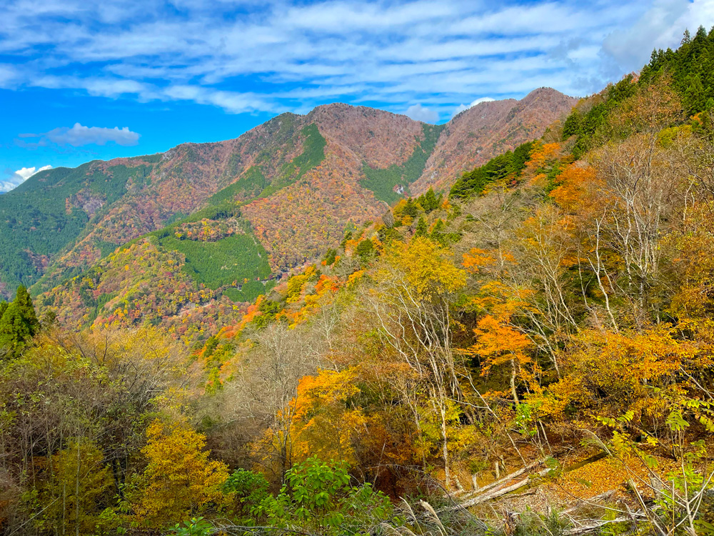 山住神社からの紅葉風景