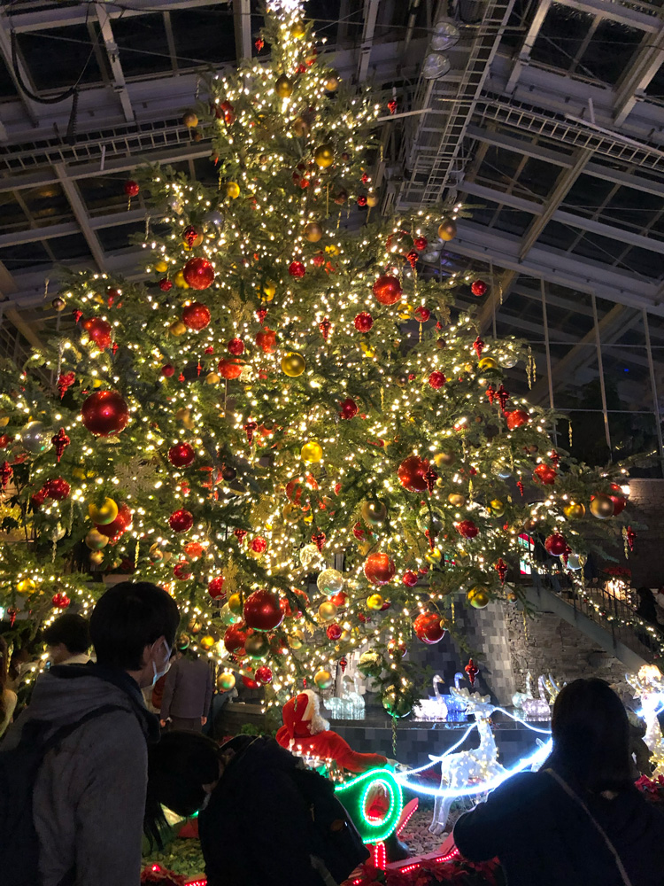浜松フラワーパークの巨大クリスマスツリー