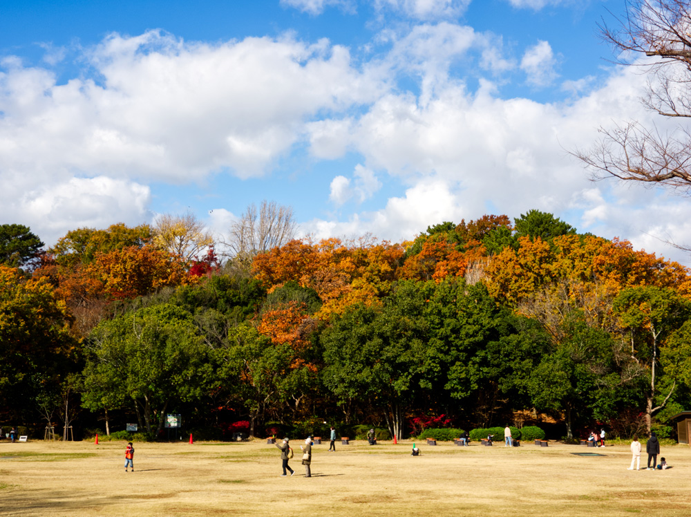 浜松城公園広場の紅葉