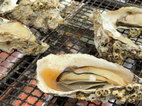 浜名湖海湖館牡蠣小屋の焼き牡蠣「ぷり丸」