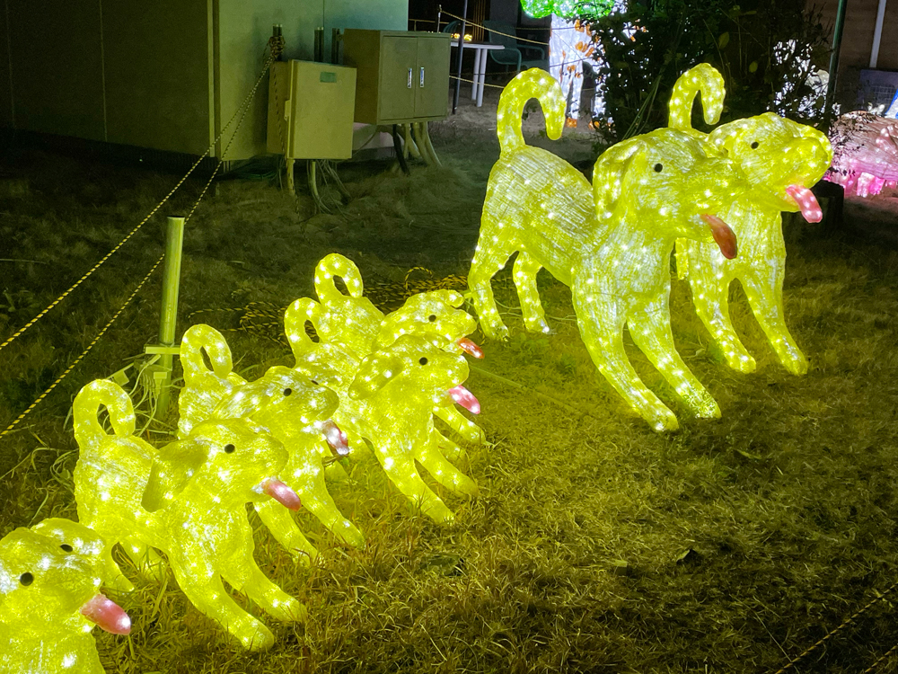 浜松フルーツパークイルミネーション：光の動物園