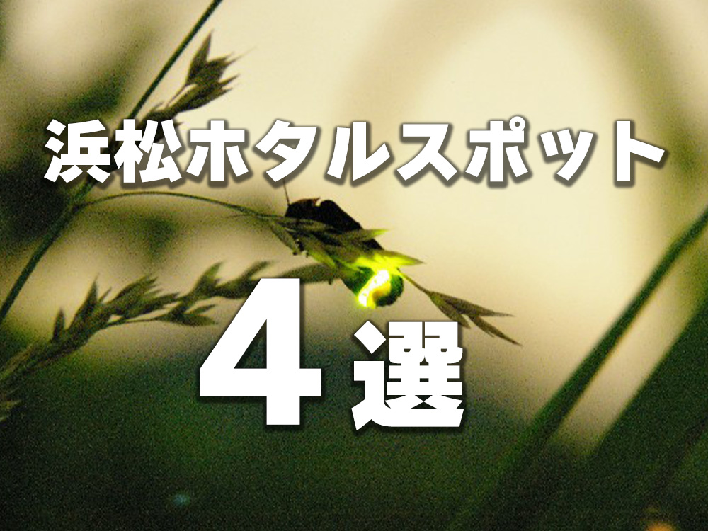 浜松ホタルスポット４選