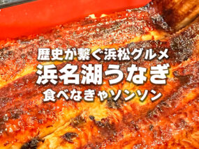 歴史がつなぐ浜松グルメ浜名湖うなぎを食べなきゃそんそん