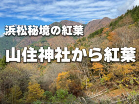 山住神社からの紅葉