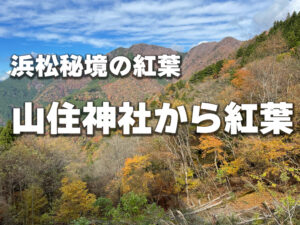 山住神社からの紅葉