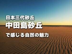 中田島砂丘で感じる自然の魅力