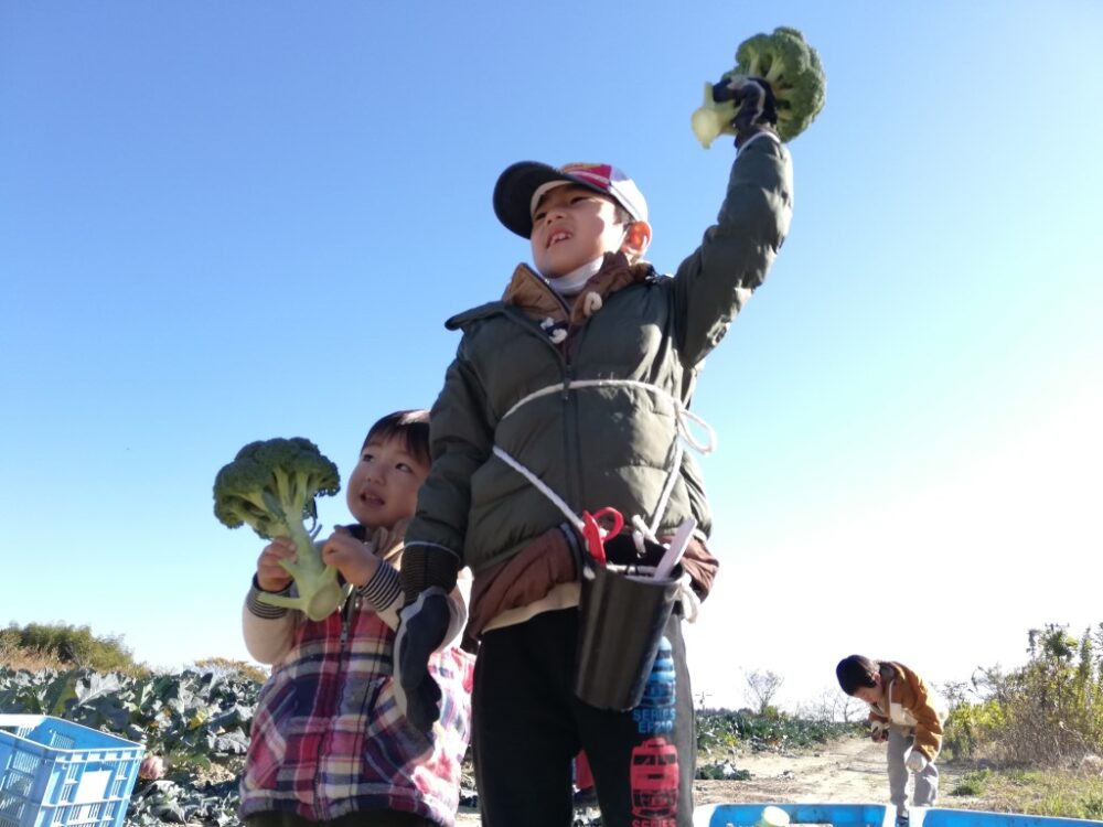 あったか農場「冬野菜の収穫祭」（浜松市雄踏町）