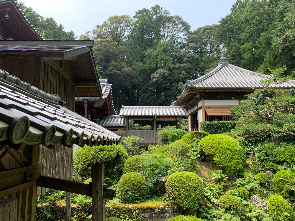 昼の龍潭寺の庭園