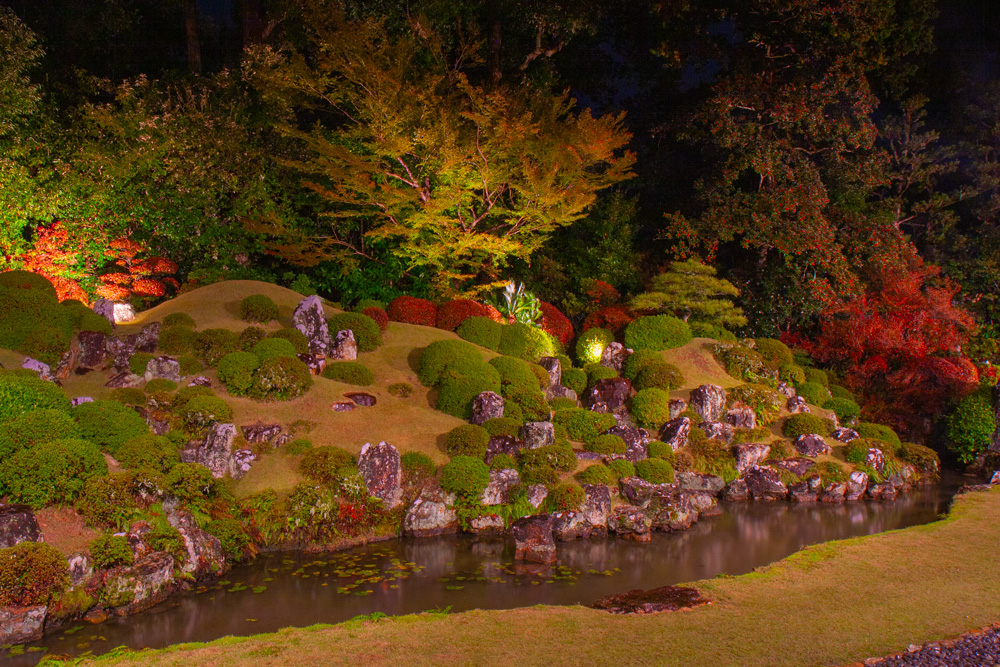 夜の龍潭寺の庭園