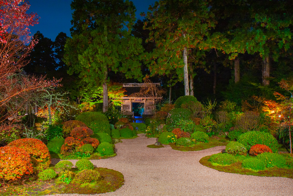 夜の龍潭寺の庭園