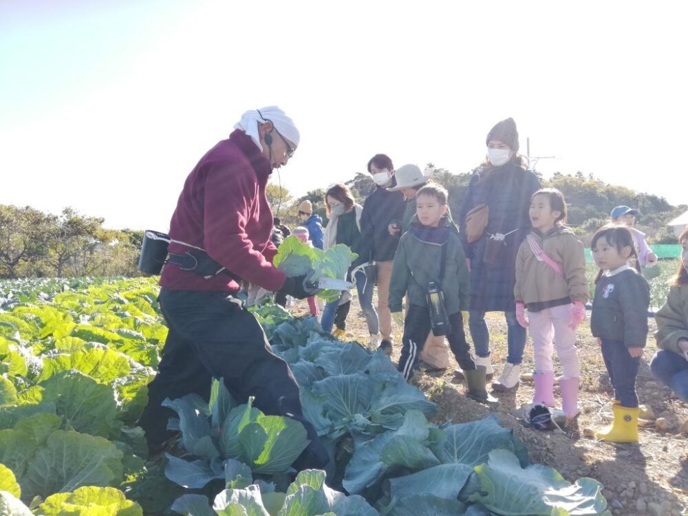 あったか農場「冬野菜の収穫祭」（浜松市雄踏町）