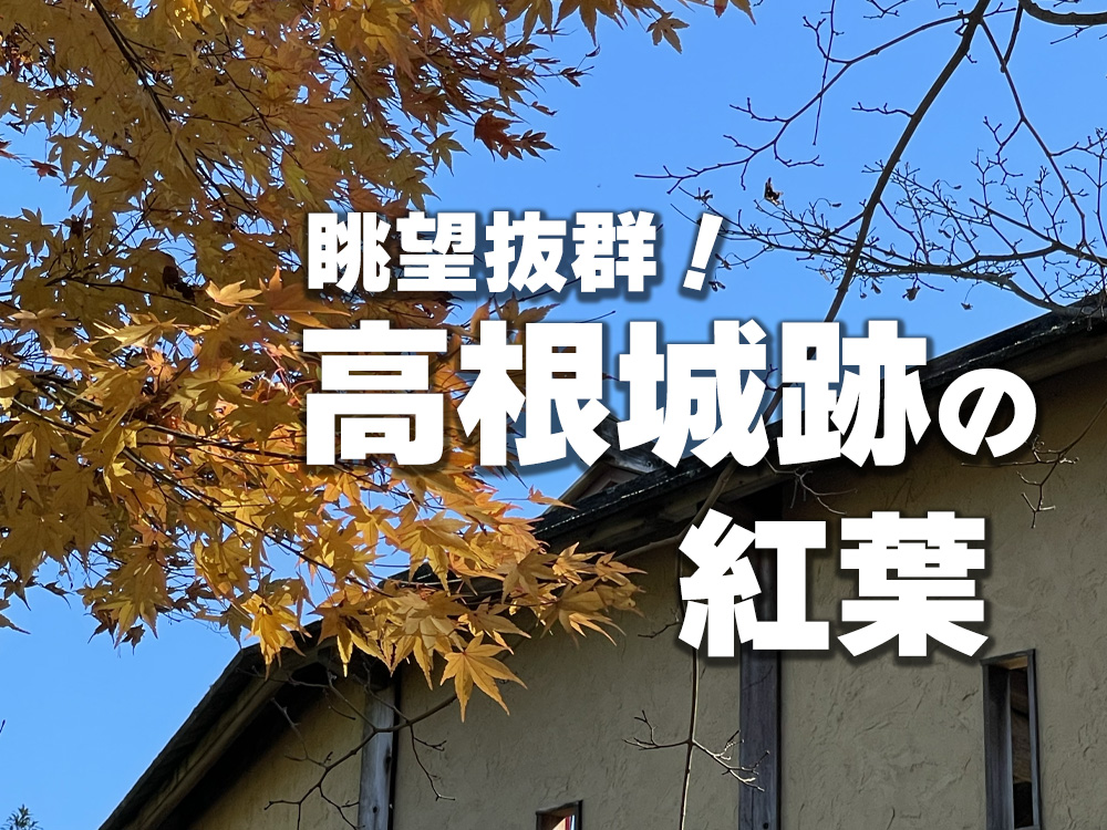 眺望抜群高嶺城跡の紅葉