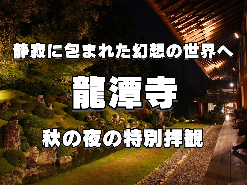 龍潭寺 秋の夜の特別拝観