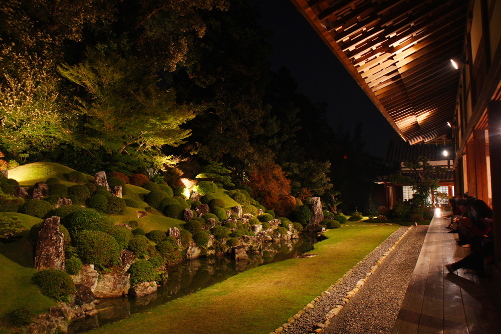 夜の龍潭寺の庭園