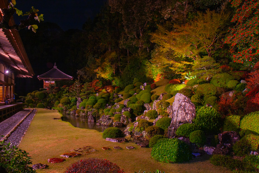 夜の龍潭寺の庭園