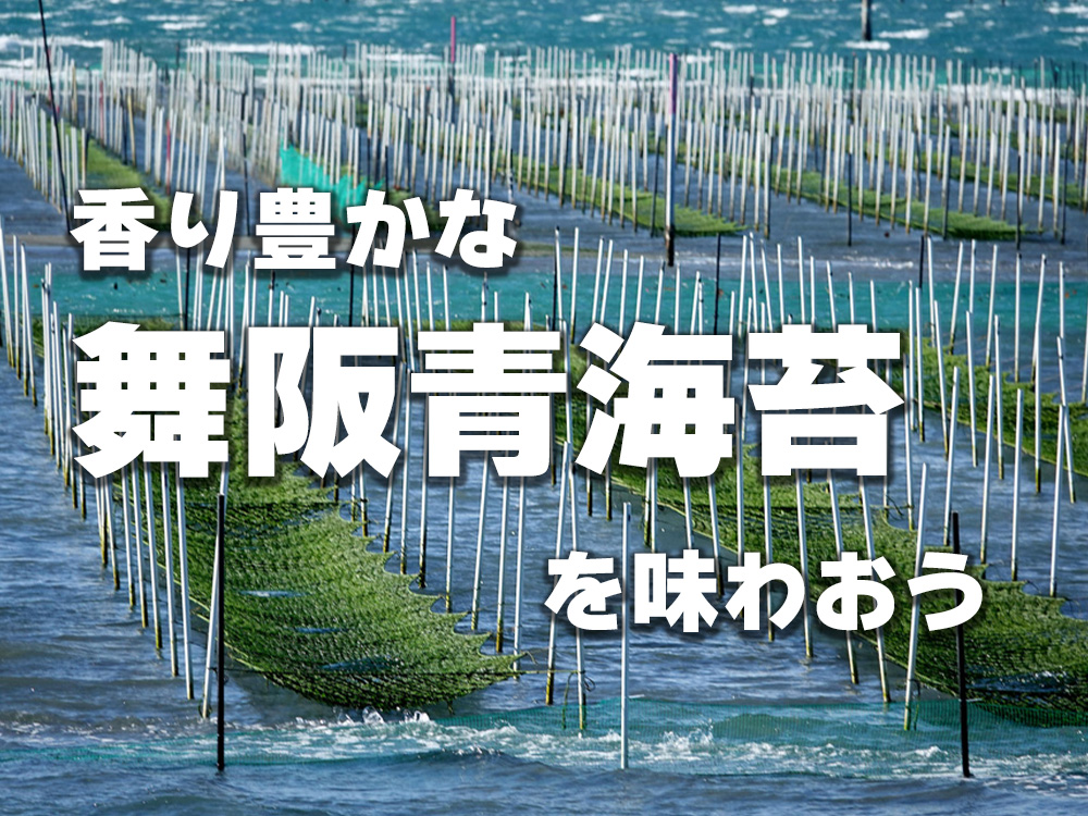 【浜松グルメ】-日本最古の海苔養殖場で生まれた、香り豊かな'舞阪の青のり'を味わおう！