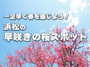 浜松で一足早く春を感じよう！早咲きの桜スポットまとめ