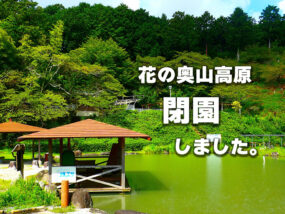 花の奥山高原閉園しました