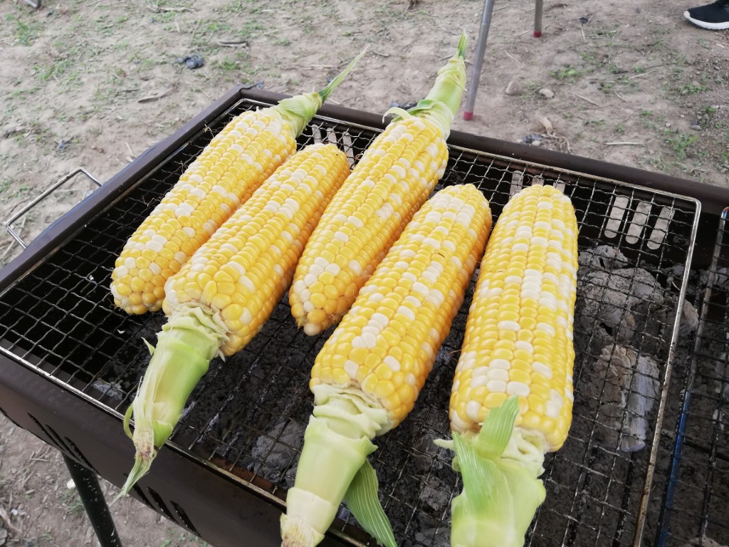 とうもろこしの焼き体験