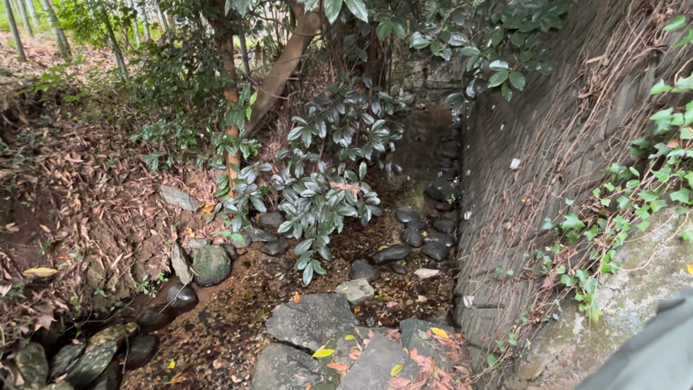 うなぎ井戸の湧水現場?
