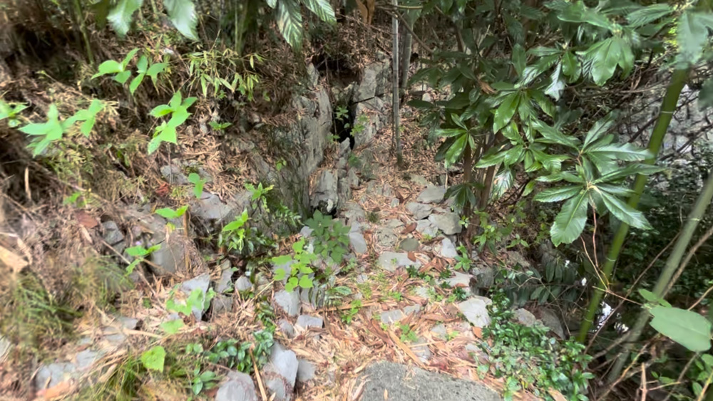 うなぎ井戸の湧水本当の現場
