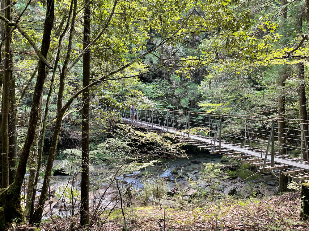 竜王権現の滝への遊歩道