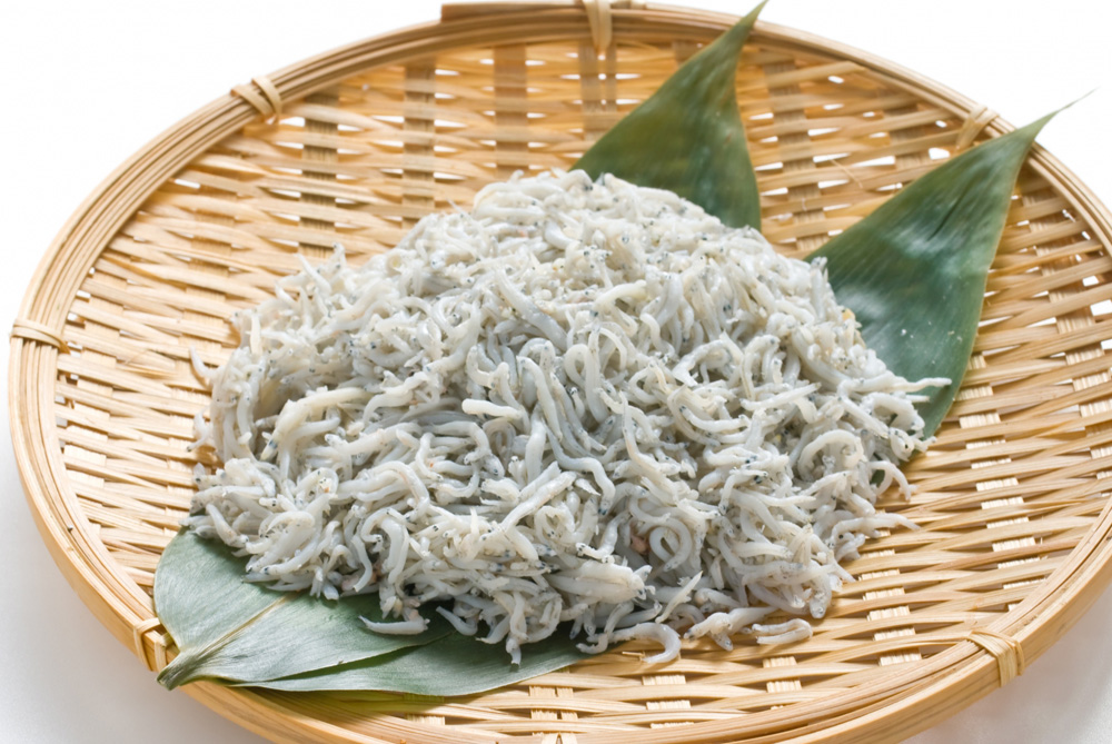 遠州灘のしらす干し