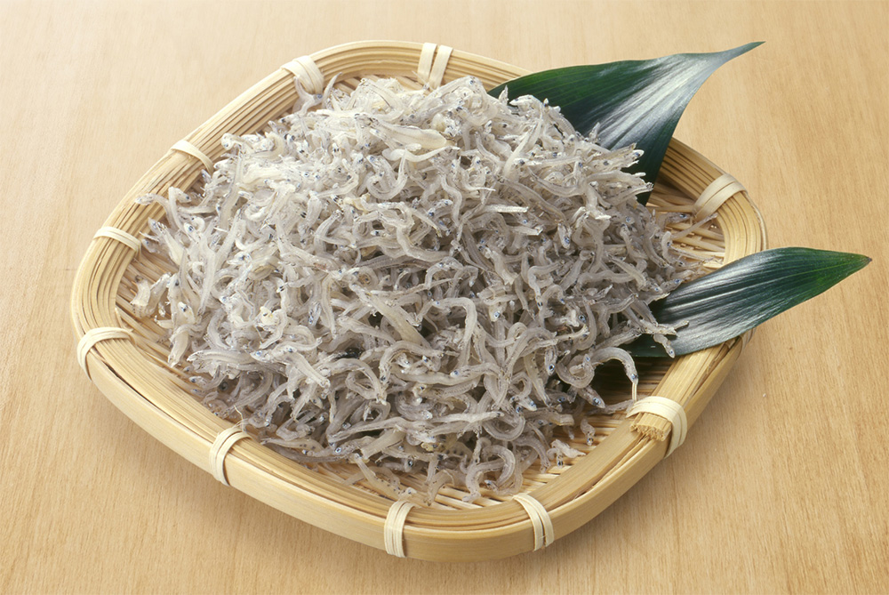 遠州灘のちりめんじゃこ