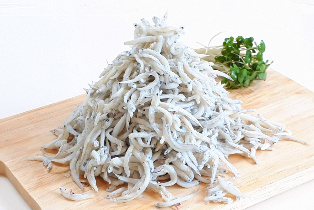 遠州灘の釜揚げしらす