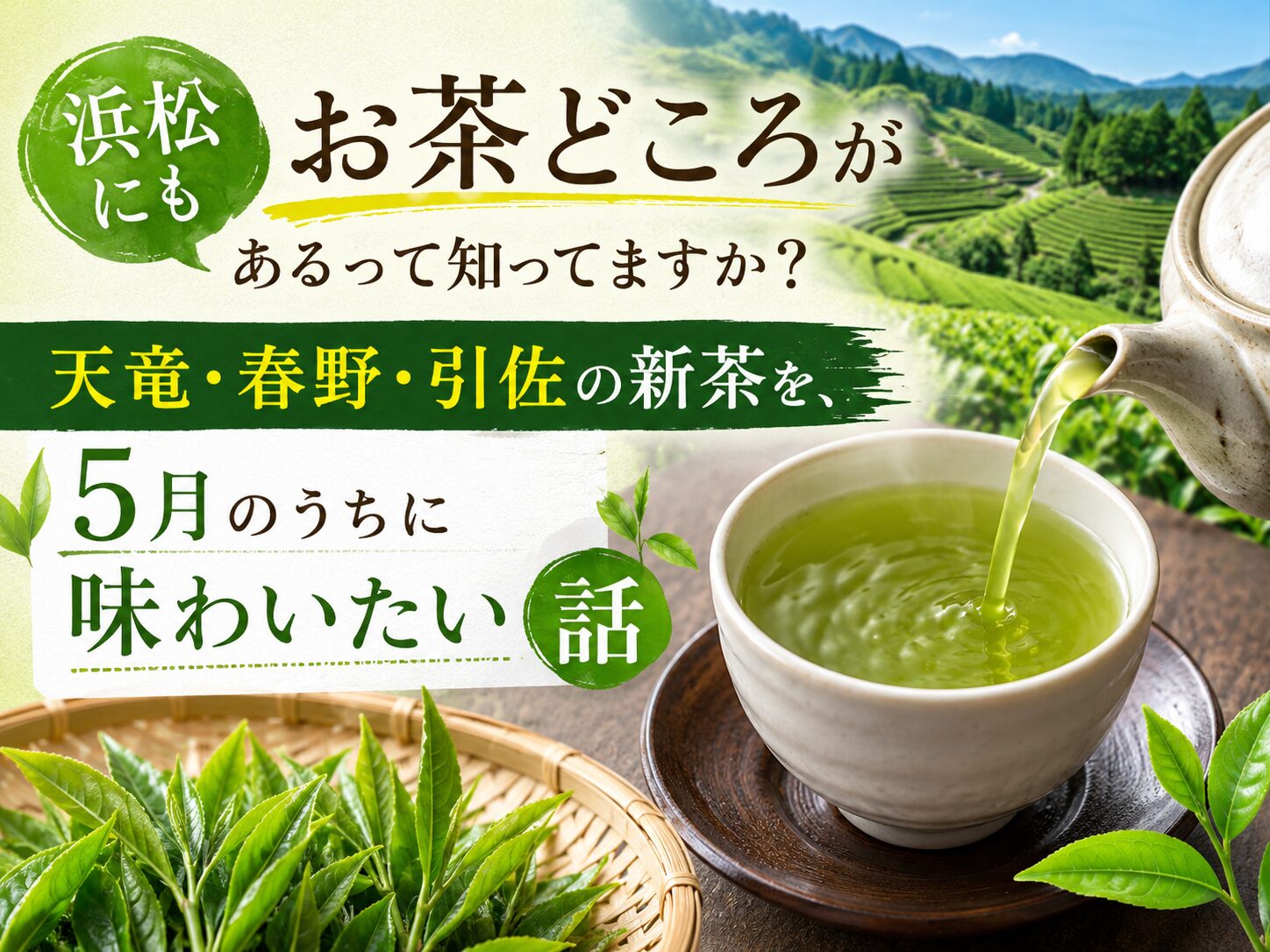 浜松にもお茶どころがあるって知ってますか？天竜・春野・引佐の新茶を、5月のうちに味わいたい話