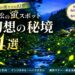 【浜松の蛍スポット】6月の夜だけの幻想、ホタルが舞う秘境4選