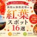 【2026年版】浜松＆浜松近郊の紅葉スポット16選｜見頃の早い順に紹介